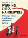 ChessBase 17 - Tips and Tricks (kartoniertes Buch)